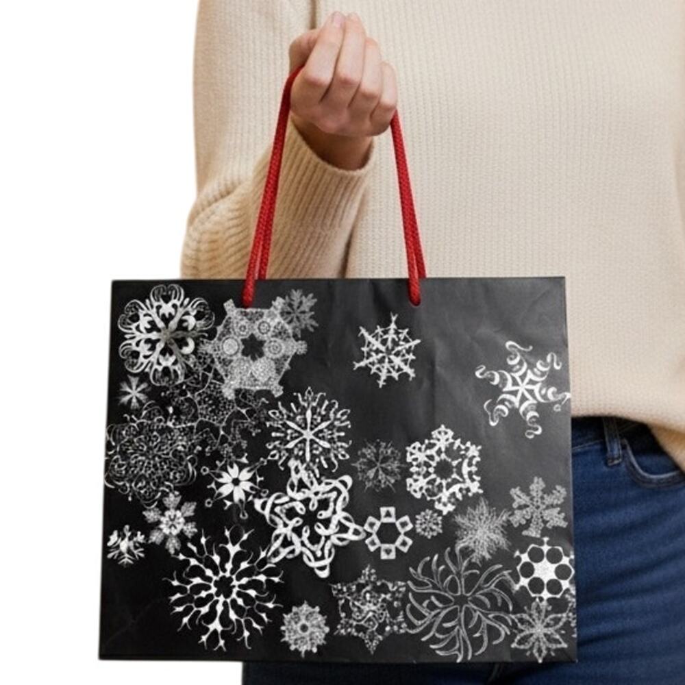 Saks Fifth Avenue‎ Shopping Gift Bag great Condition 10x8x6